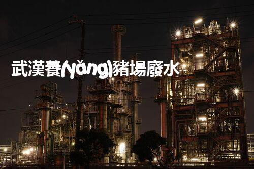 武漢養(yǎng)豬場廢水處理的以后：揭秘綠色養(yǎng)殖的奧秘？